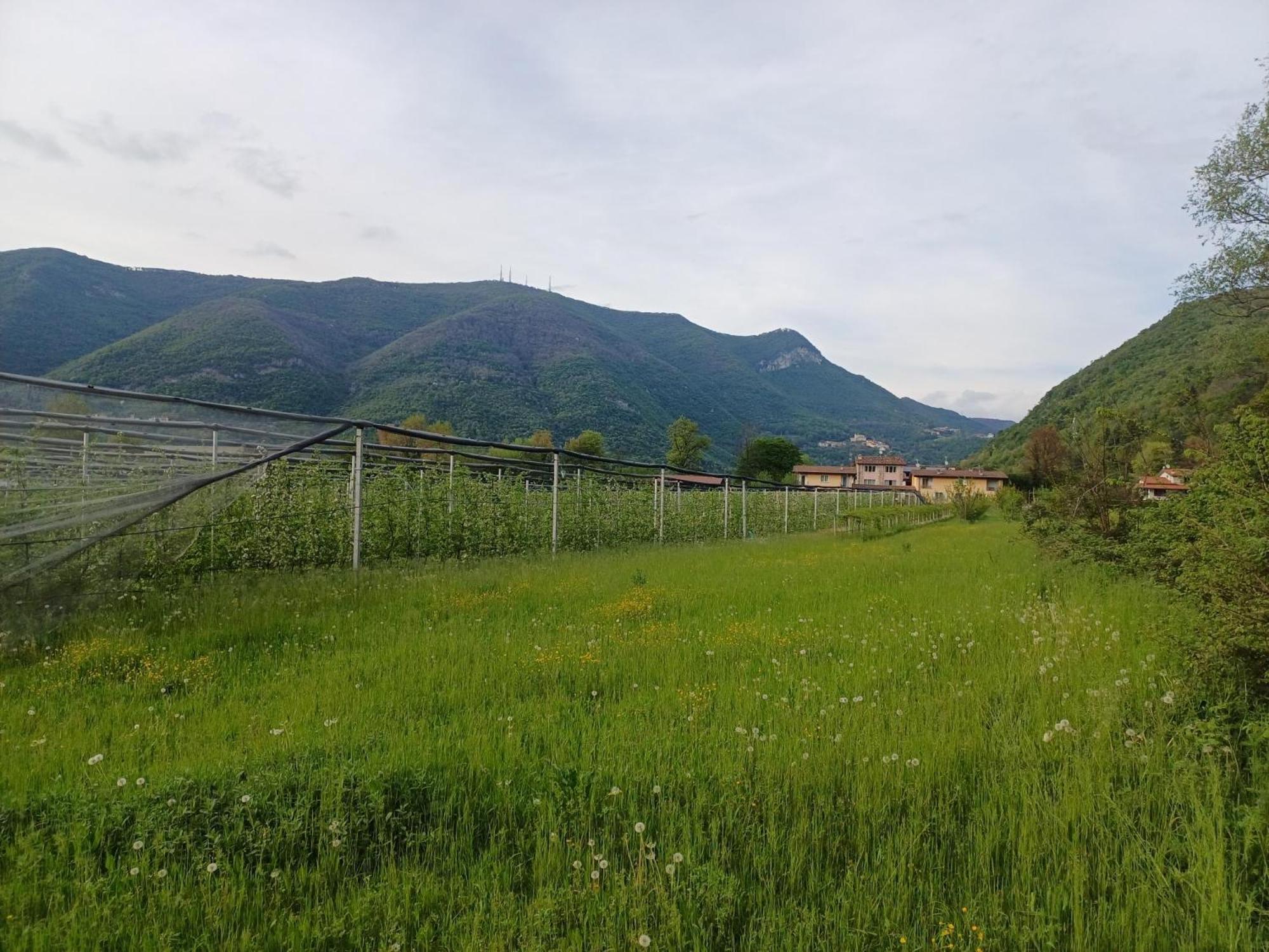 Apartamento Cascina Legnago Bilocale A 6 Chilometri Da Salo' Villanuova sul clisi Exterior foto