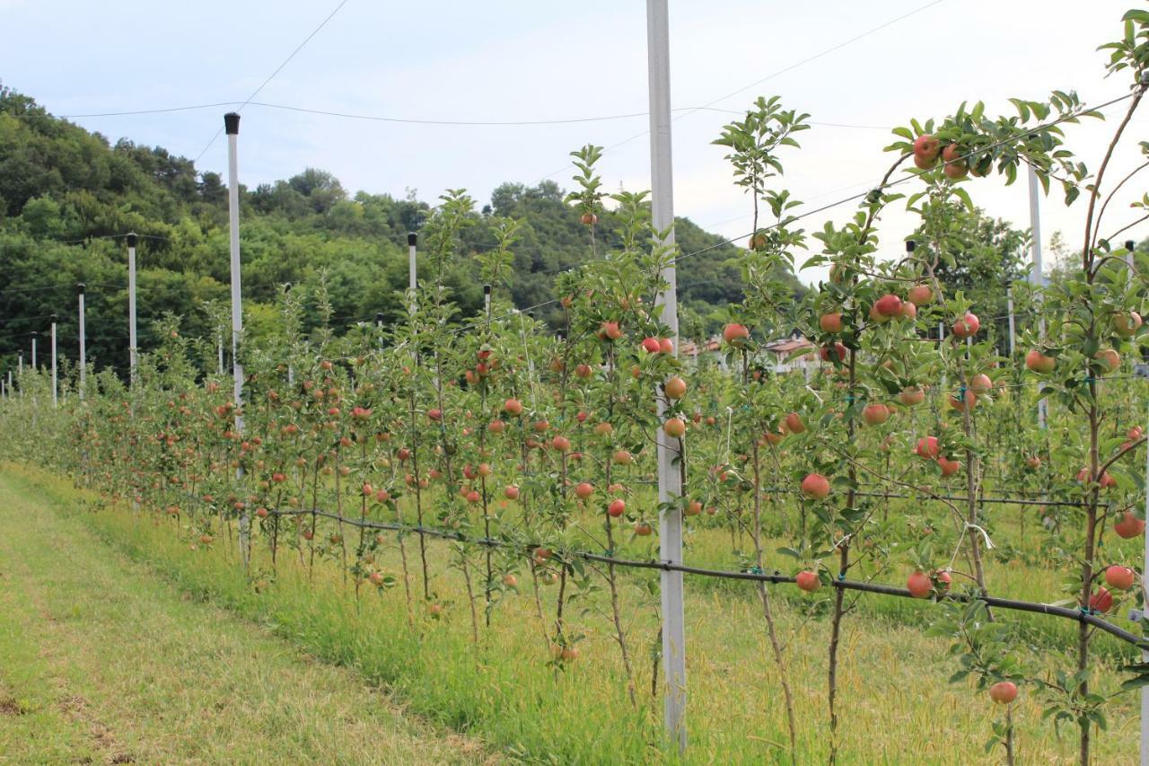 Apartamento Cascina Legnago Bilocale A 6 Chilometri Da Salo' Villanuova sul clisi Exterior foto