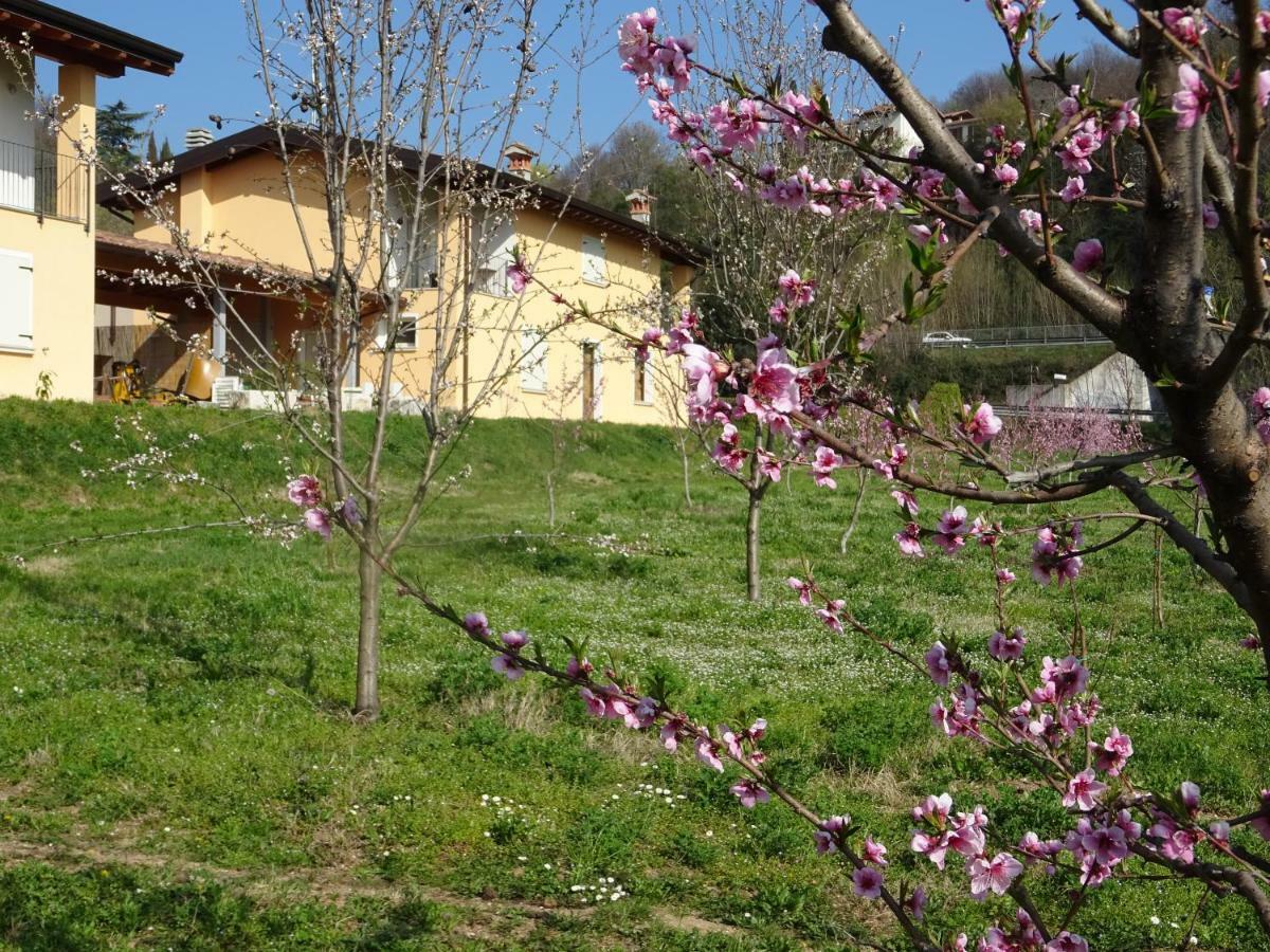 Apartamento Cascina Legnago Bilocale A 6 Chilometri Da Salo' Villanuova sul clisi Exterior foto